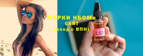 МДПВ Бородино