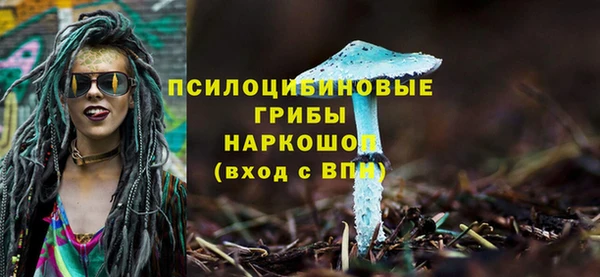 PSILOCYBIN Богородск
