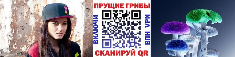 Галлюциногенные грибы Psilocybe  MEGA вход  Чапаевск 
